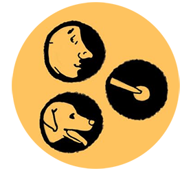 Aus dem Tagebuch eines Blindgängers